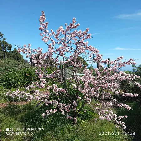 Apartment Casa Imeldo Y Eloisa *